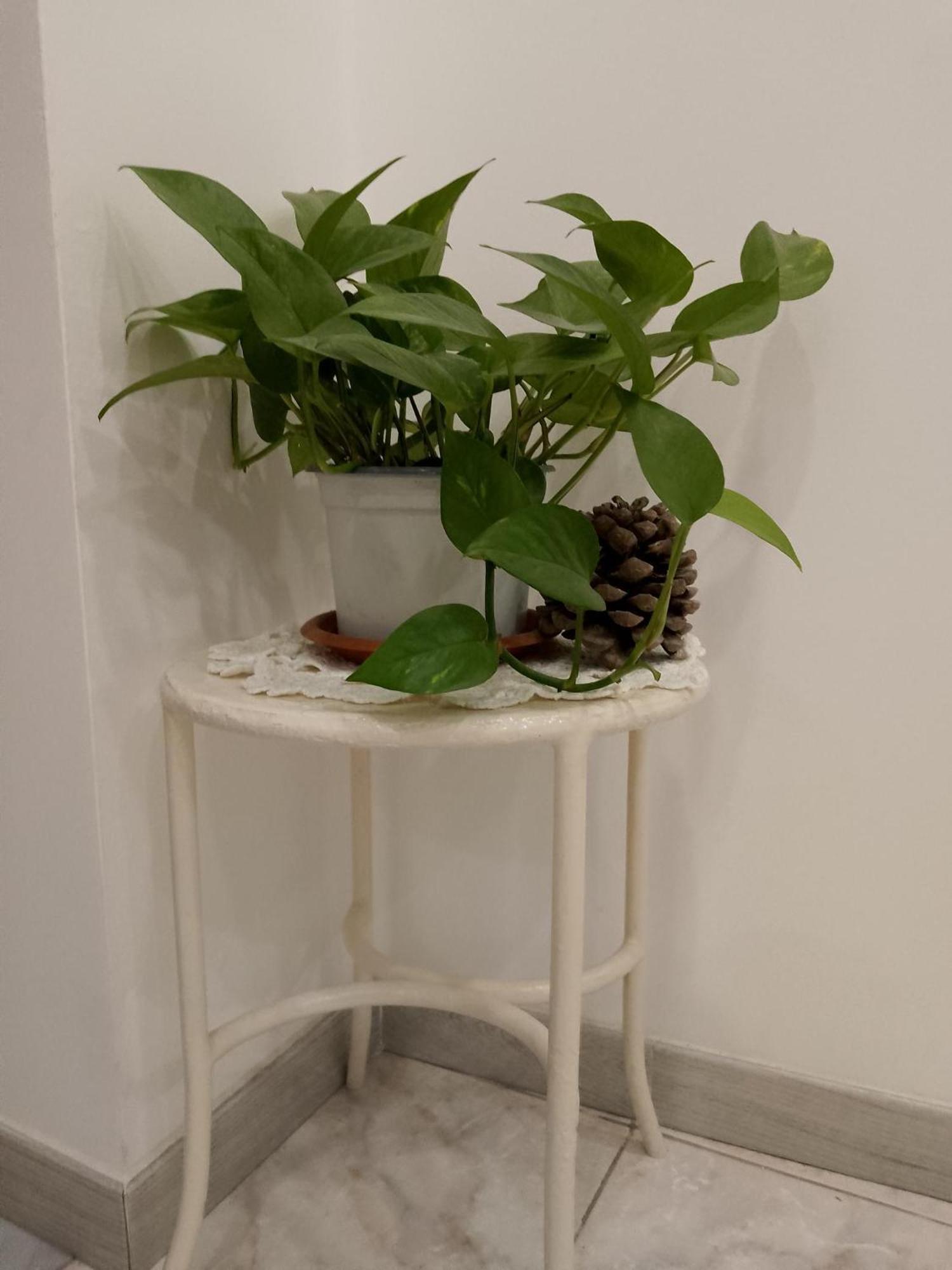 Le Casette Di Nonna Rosa In Fontanarossa Catania Airport Екстер'єр фото